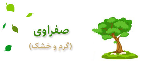 صفراوی